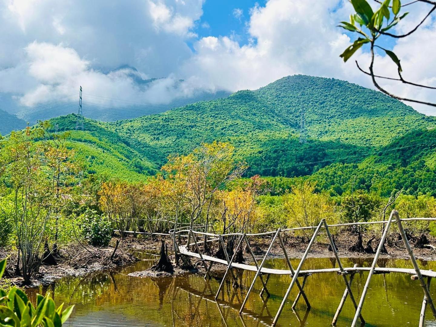 Homie Hava Homestay Лангко Экстерьер фото