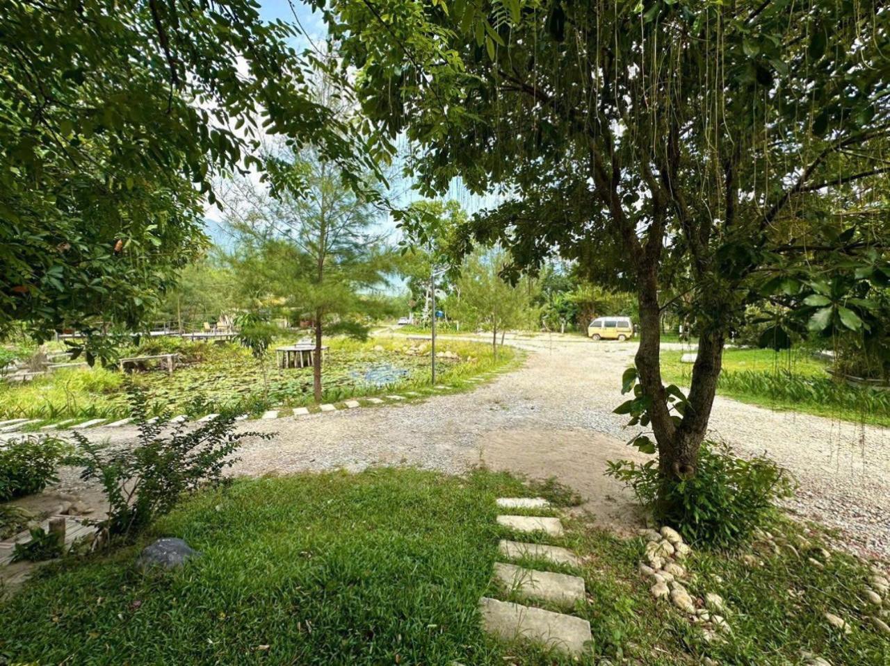Homie Hava Homestay Лангко Экстерьер фото