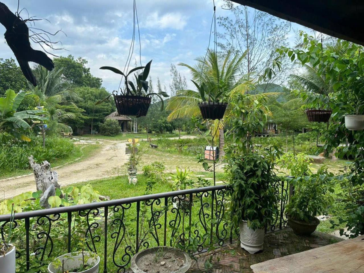 Homie Hava Homestay Лангко Экстерьер фото